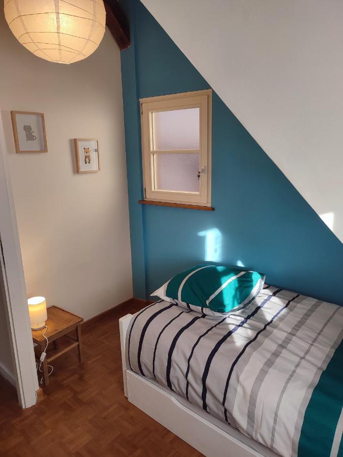 Confortable Appartement Au Centre De Sélestat Eksteriør bilde